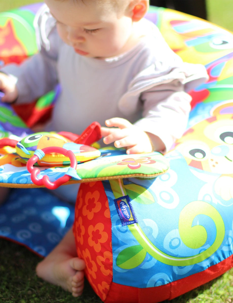 Playgro Sit Up & Play Activity Nest
