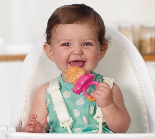 Munchkin Fresh Food Feeder 1Pk