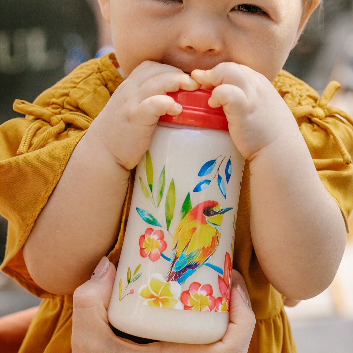 Tommy Lise Feeding Bottle Blooming Day 360 Ml.