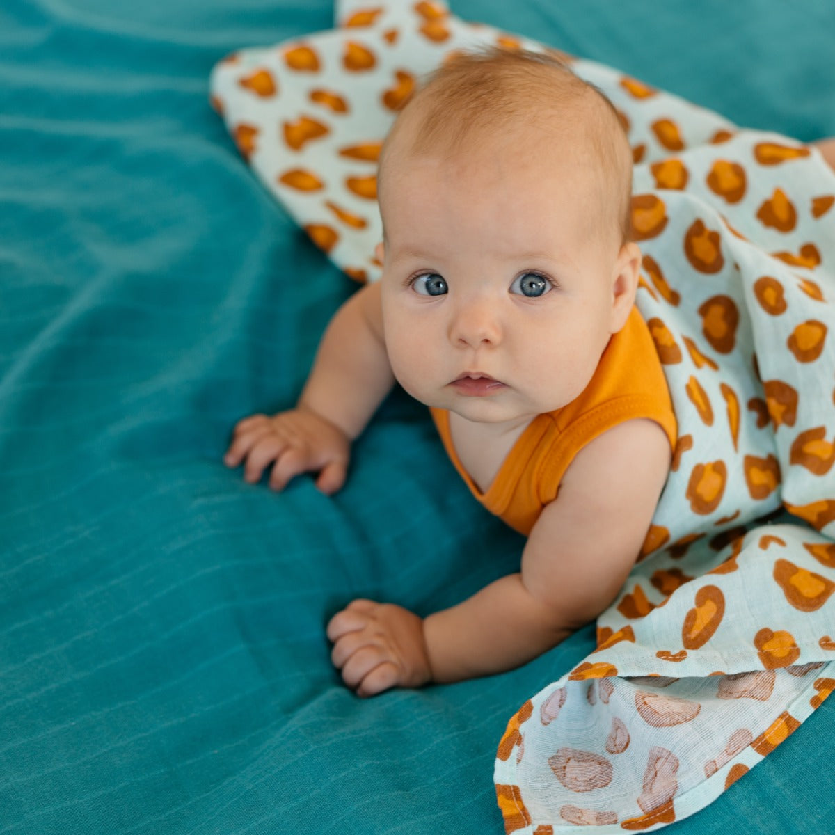 Tommy Lise Muslin Swaddle Set Blue Leopard(70X70Cm