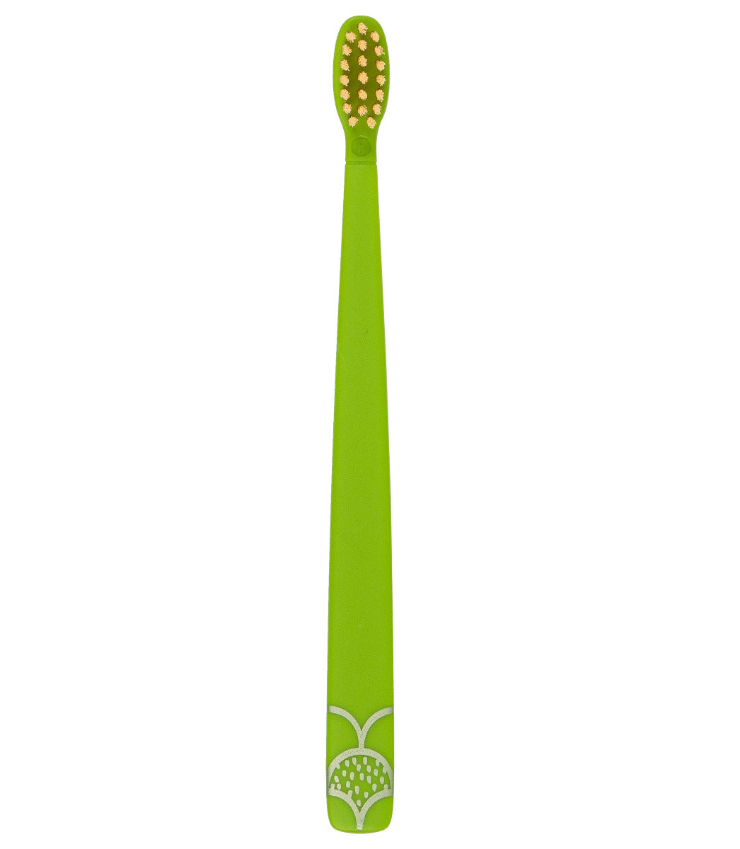 Flipper Fun Animal Turtle Toothbrush Cover and Toothbrush Combo Pack