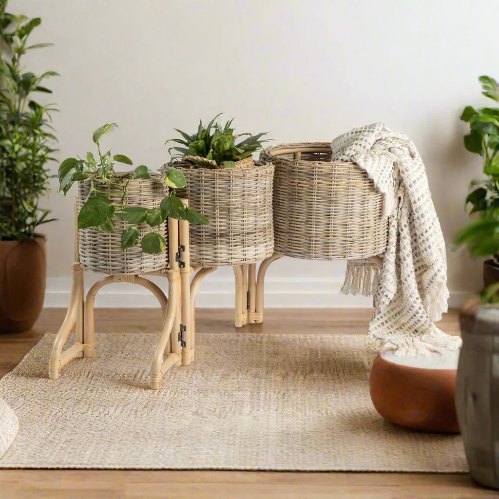 Cuddle Rowan Folding Planter