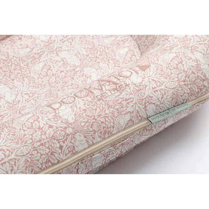 دوكاتوت ديلوكس+ بود برير أرنب