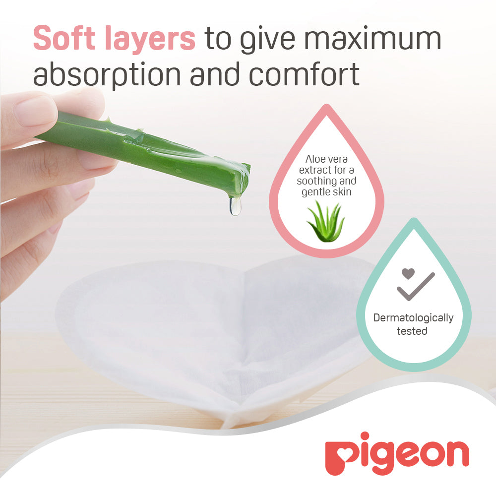 Pigeon Breast Pad Honey Comb 60 Pcs Box