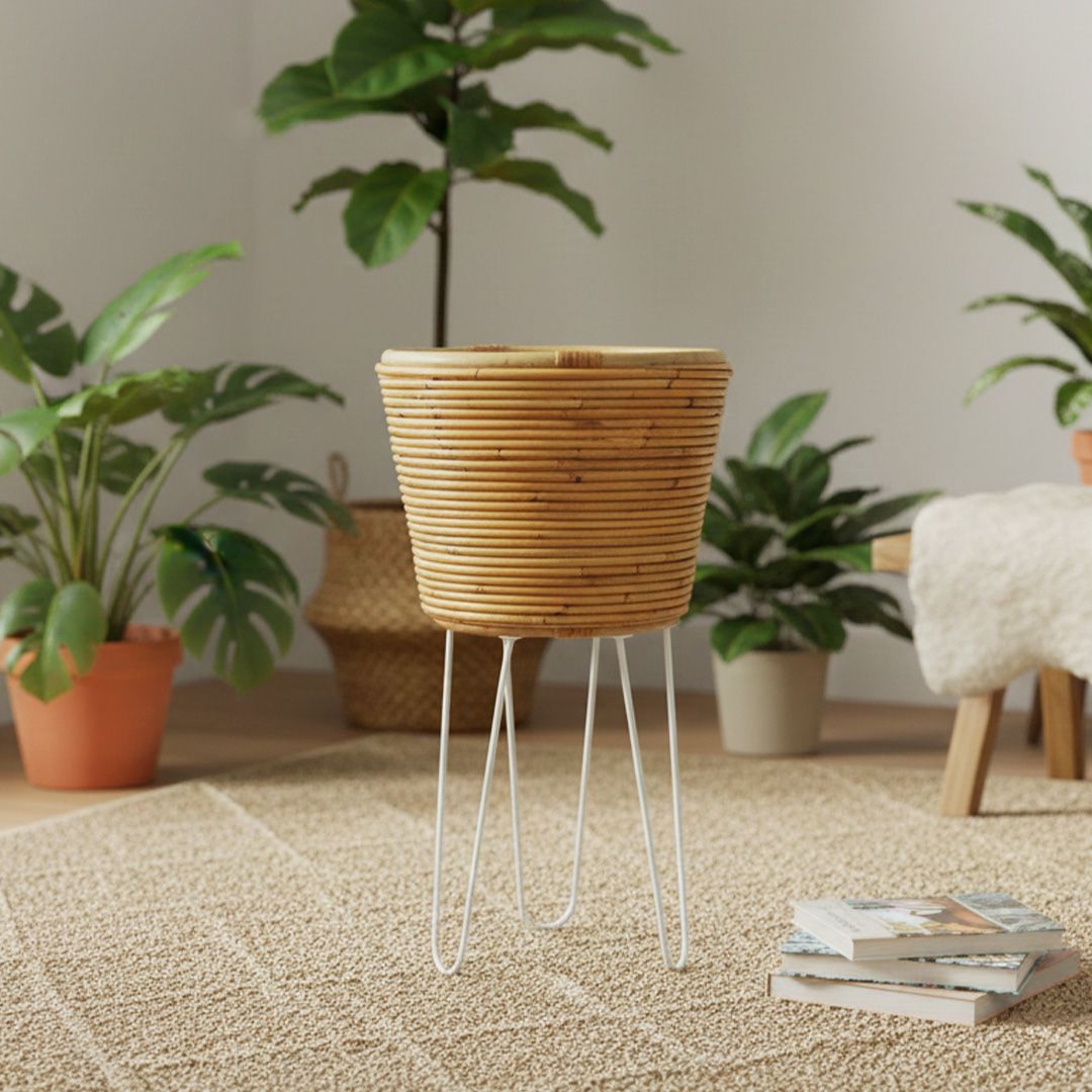 Cuddle Arden  Planter