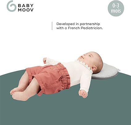 Babymoov Lovenest Original Smokey Anatomical Head Support 0 to 4 Months