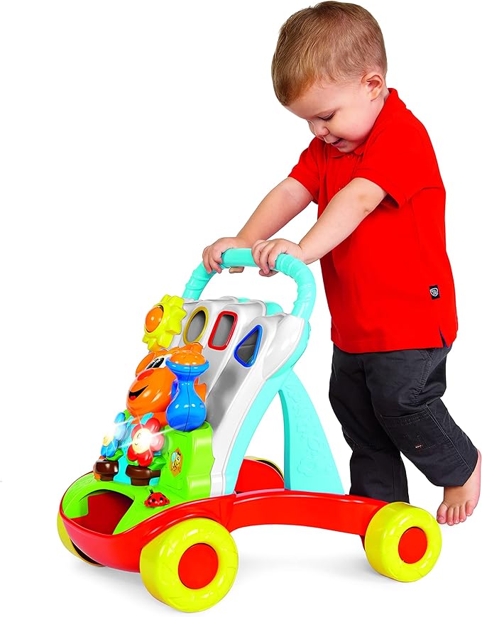 Chicco 2 in 1 Baby Gartner