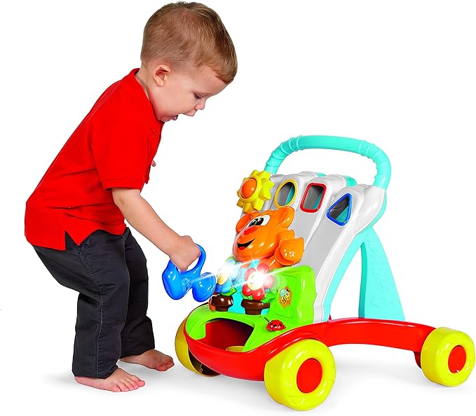 Chicco 2 in 1 Baby Gartner