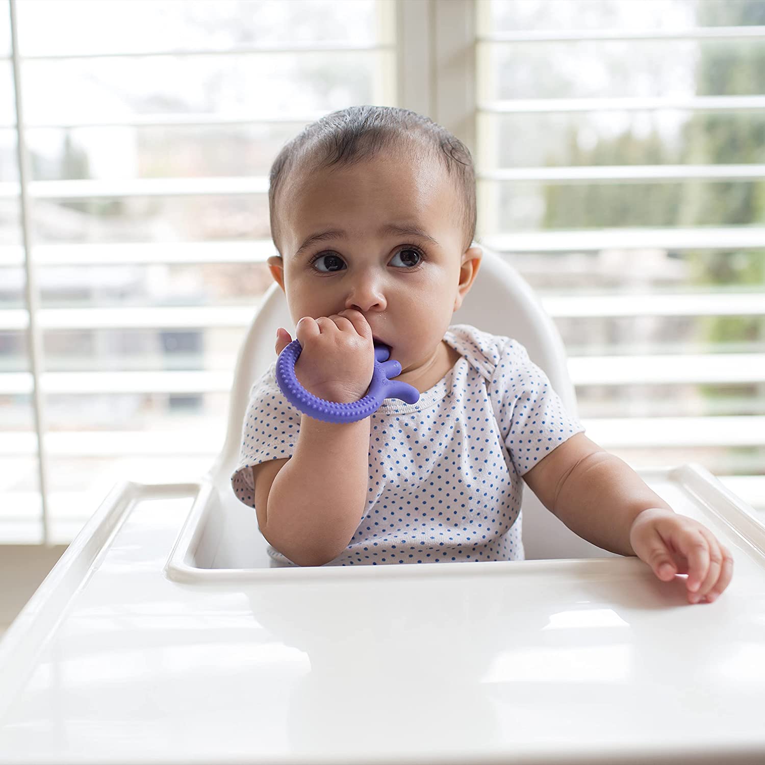 Dr.Browns Flexees Friends Octopus Teether Purple