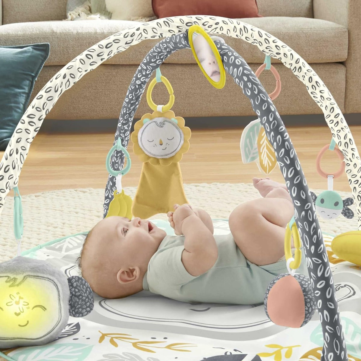 Fisher Price Snugamonkey Go Bananas PlayGym