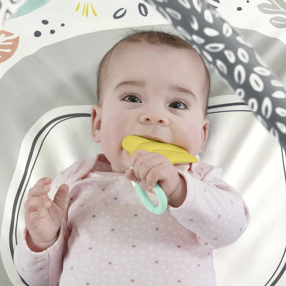 Fisher Price Snugamonkey Go Bananas PlayGym