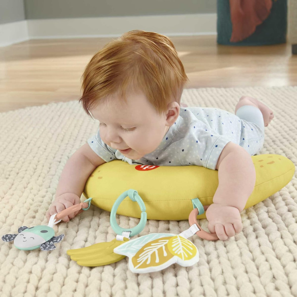 Fisher Price Snugamonkey Go Bananas PlayGym