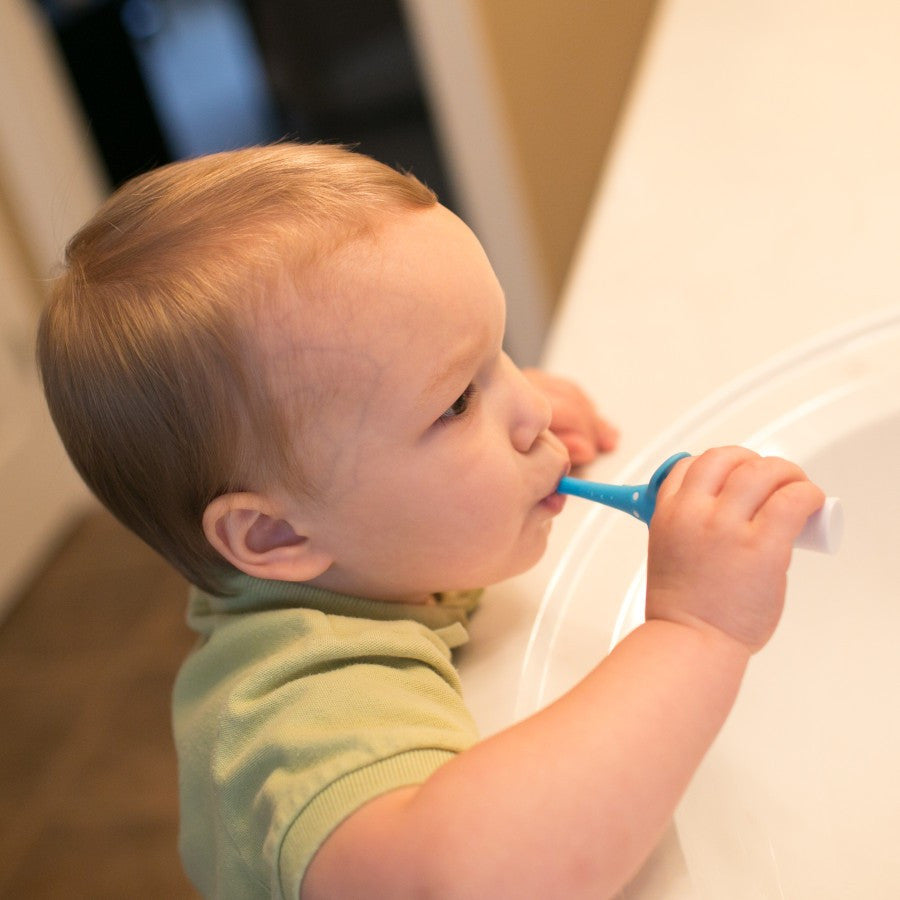 Dr.Browns Infant To Toddler Toothbrush  Blue Elephant  1 Pack