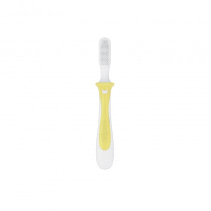 Pigeon Training Toothbrush Lesson 1 Yellow