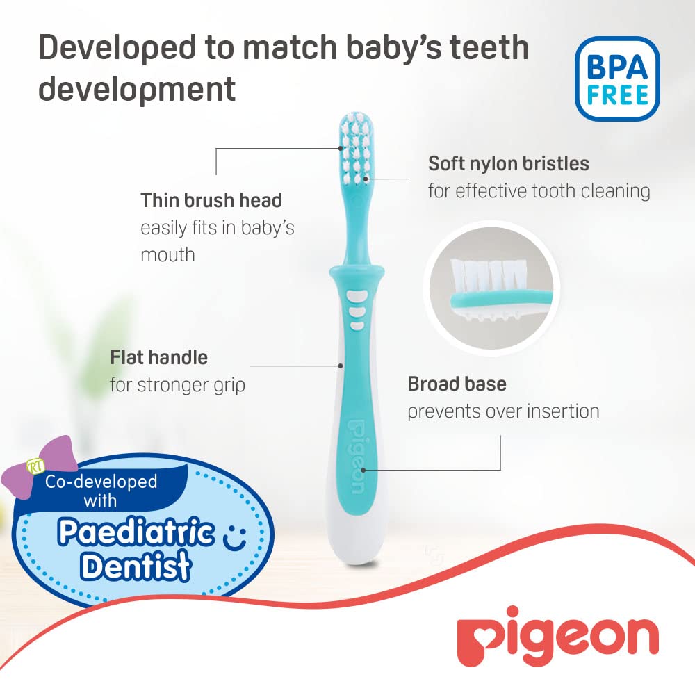 Pigeon Baby Training Toothbrush Lesson Green – Yallamomz