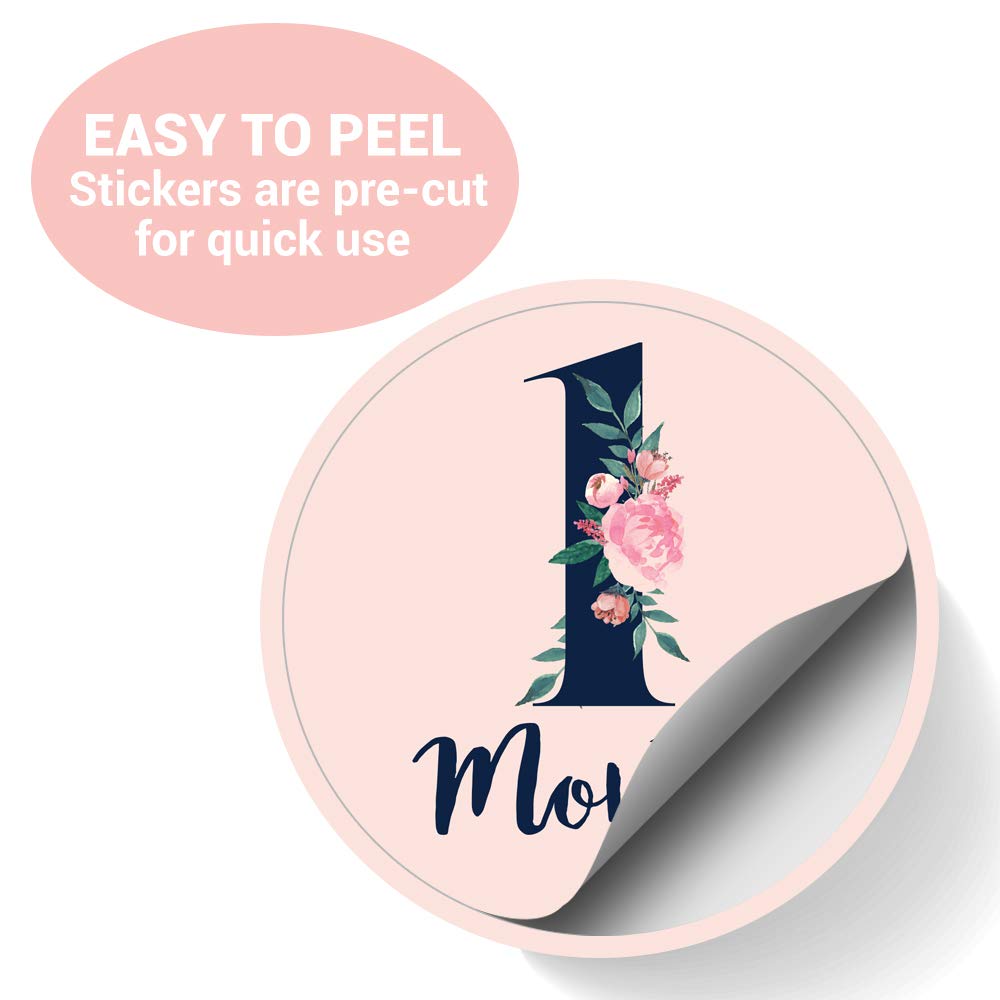 Monthly Milestone Stickers Floral Milestone Stickers 24pcs